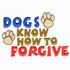 Dogs Know How to Forgive