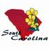 South Carolina - Yellow Jessamine