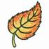 Fall Leaf 4