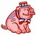 Patriotic Pig