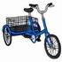Tricycle with Basket
