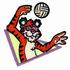 Volleyball Tiger