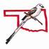 Scissor-Tail Flycatcher - Oklahoma