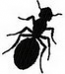 ANT_1_30