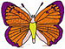 Butterfly 60