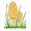 MUSHROOMS