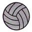 VOLLEYBALL
