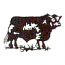 ANGUS BULL