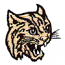 WILDCAT