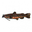 FLATHEAD CATFISH