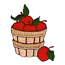 BUSHEL OF APPLES