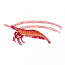 SHRIMP