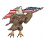 EAGLE W/FLAG
