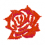 ROSE #673