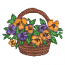 PANSIES IN BASKET