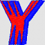 PARIS Y