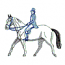 DRESSAGE RIDER