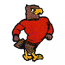 EAGLE WEARING SWEATER