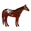 OVERO PAINT HORSE