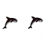 ORCA BORDER