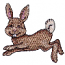 RABBIT HOPPING