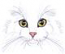 Cat Face