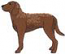 Chesapeake