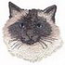 Birman