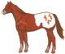 Sm. Appaloosa