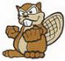 Beaver
