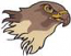 Falcon