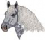 Percheron