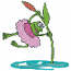 FROG BALLET