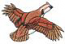 Quail