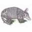 Armadillo