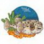 Porcupine Fish