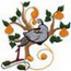 Partridge In A Pear Tree