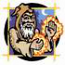 Wizard Center