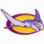Ray Logo