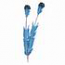 Turquoise-Browed MotMot Feathers