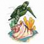 Sea Shell & Sea Turtle