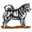 Alaskan Malamute