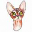 Sphynx