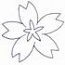 Star Flower