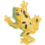Golden Frog