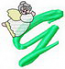 Angelalphag